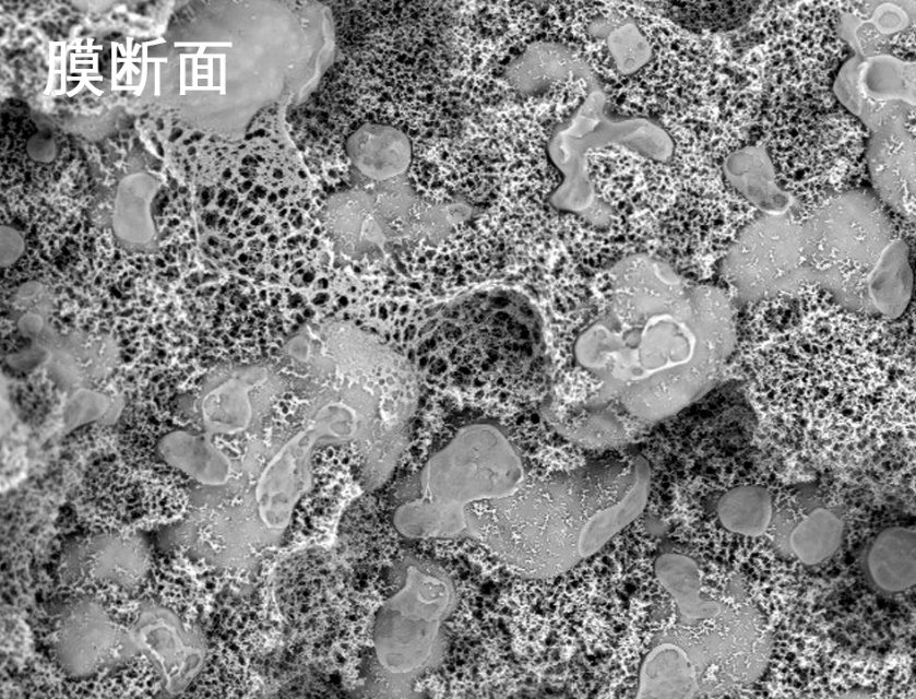 7790�ط������ս��ʽĤ�羵��Ƭ